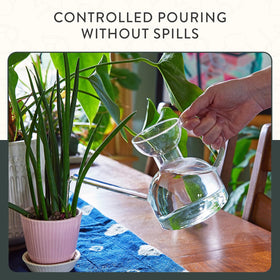 Perfect gift idea for plant lovers and Mother’s Day celebrations.
