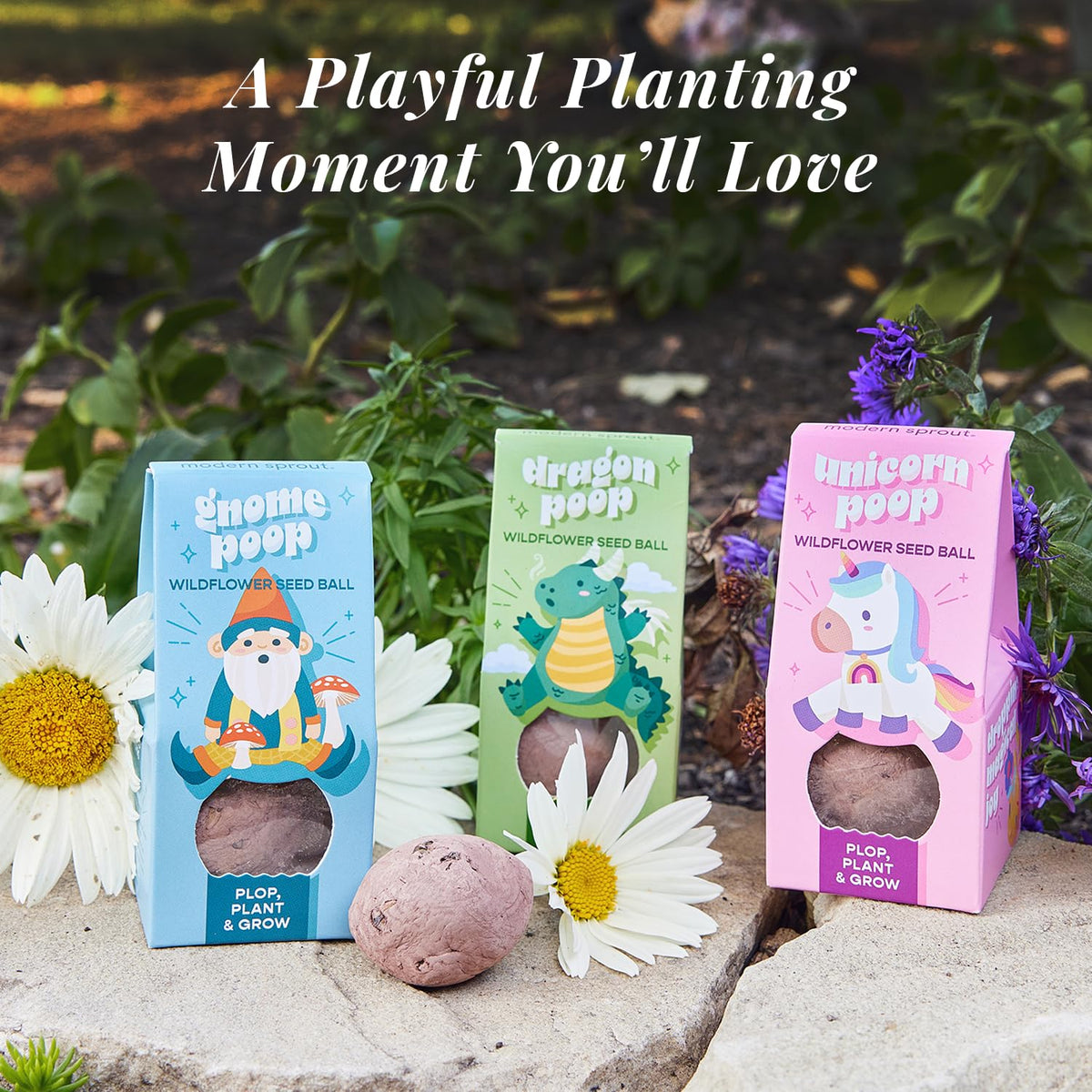 Modern Sprout Seed Ball Poops blooming wildflowers brighten patios and windowsills