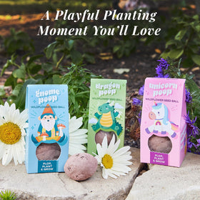 Modern Sprout Seed Ball Poops blooming wildflowers brighten patios and windowsills