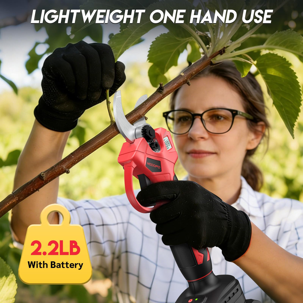 Modofo gift-ready kit includes essential tools for immediate gardening use.