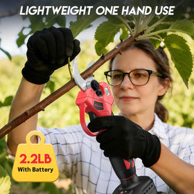 Modofo gift-ready kit includes essential tools for immediate gardening use.