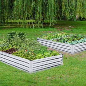 Mofesun open-bottom drainage design enhances soil drying
