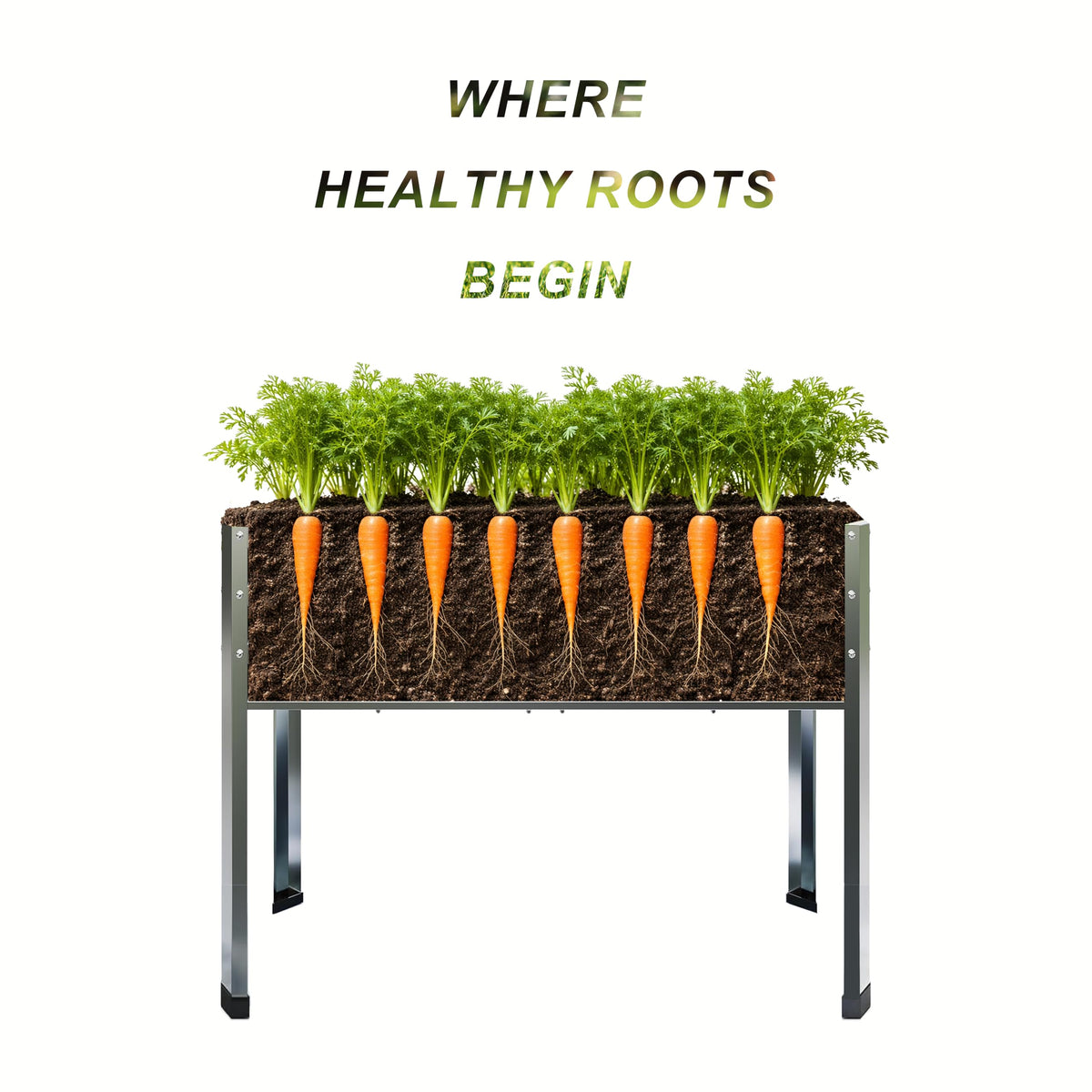 Mofesun raised garden bed interior with soil space for vegetables and herbs