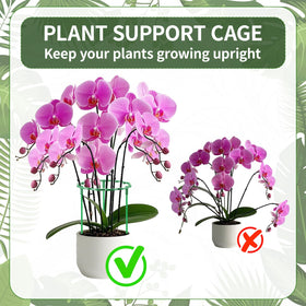 Moiggonoy stackable plant cage assembly creates scalable support.