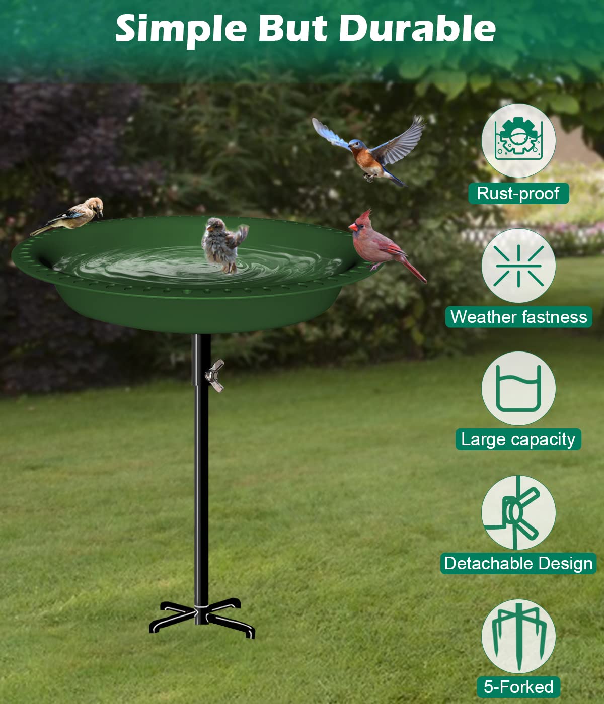 Mokeyder bird bath doubles as a gentle feeder option.