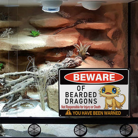 Durable MOLESS decor enhances the dragon habitat without fading