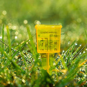 mollensiuer rain gauge easy to install on posts or ground
