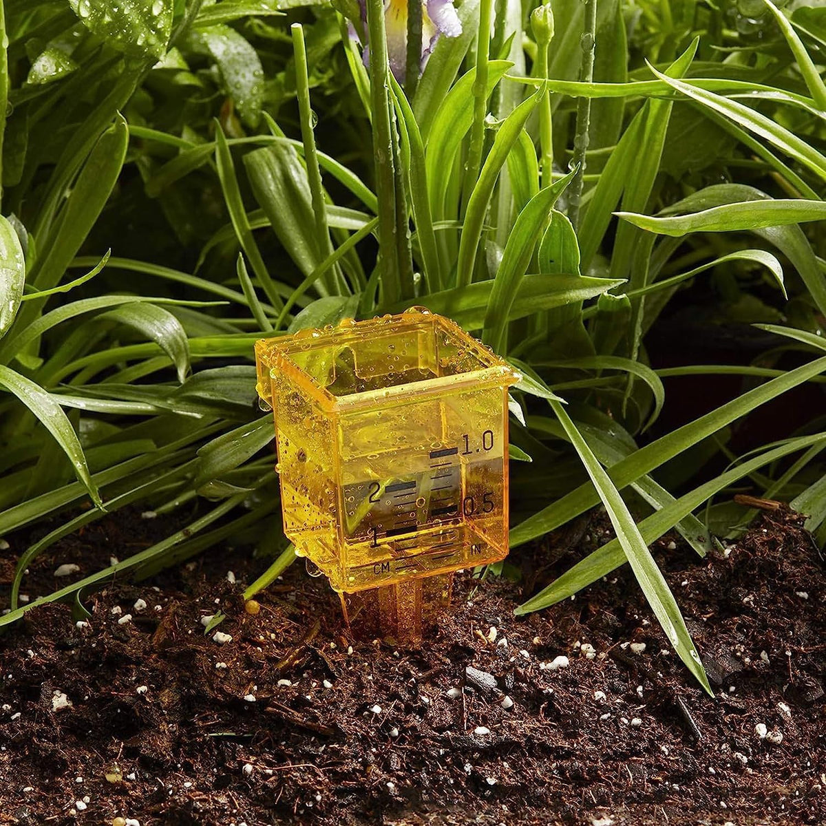 mollensiuer 4pcs gauge helps monitor rainfall over days