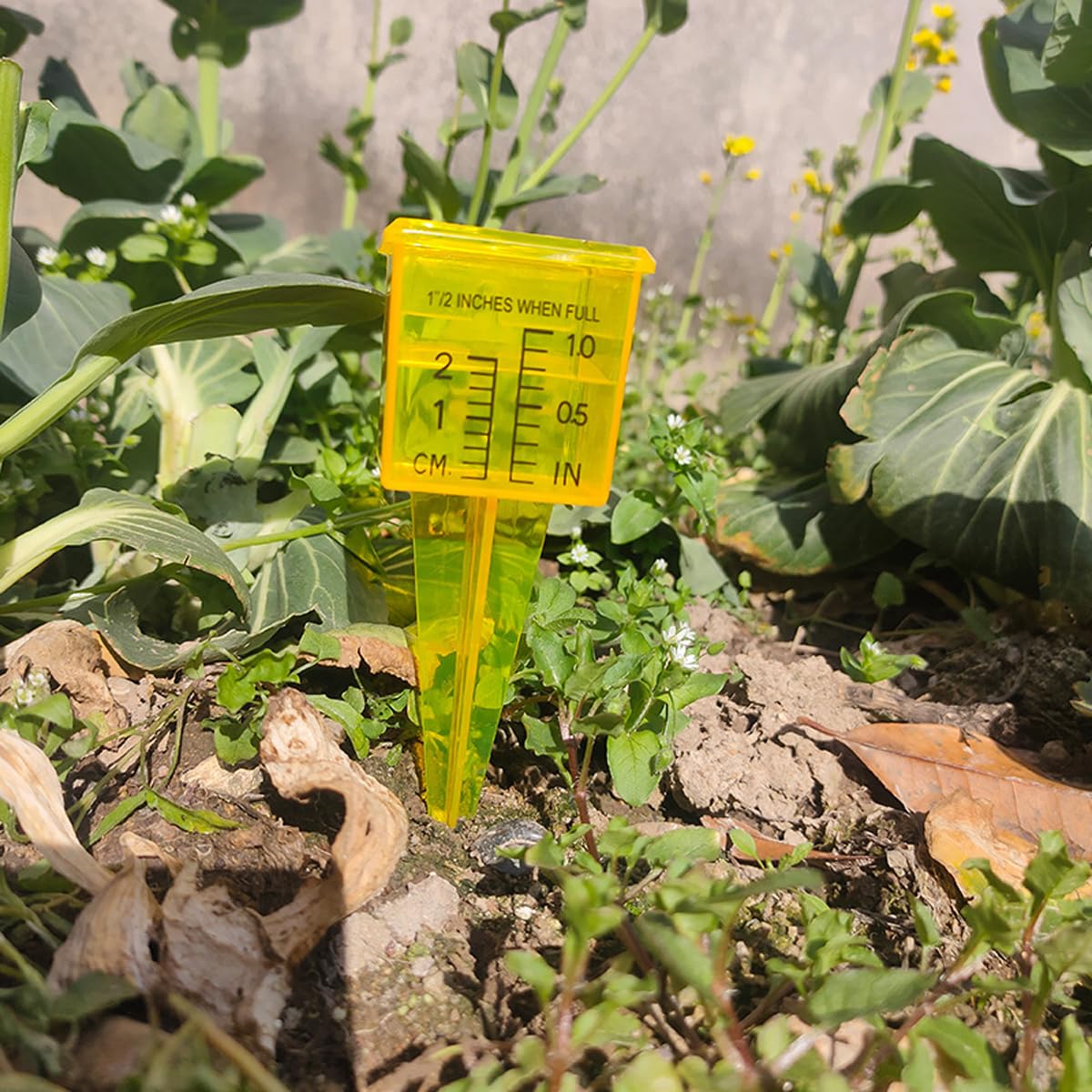mollensiuer rain gauge with cm and in scales for easy reading