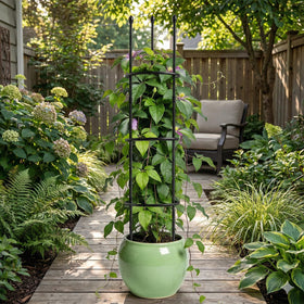 Molukera matte black design blends with garden aesthetics