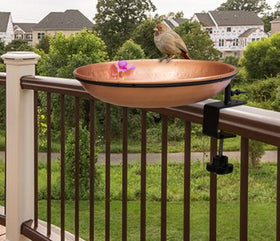 Bird feeder with seeds perched on Monarch Abode copper bowl