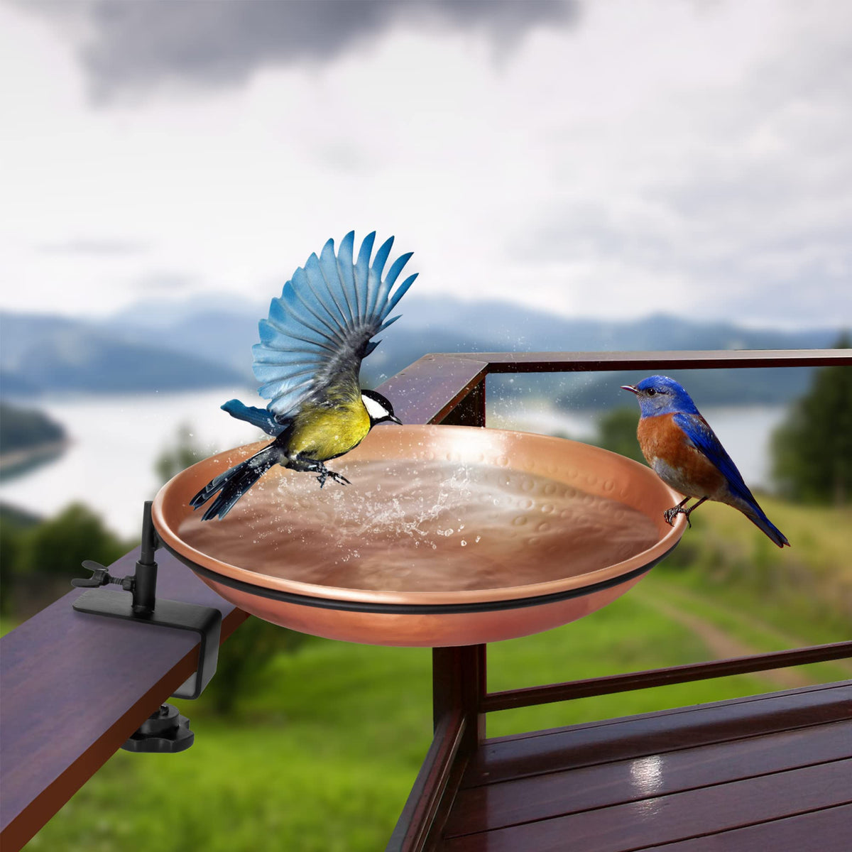 Monarch Abode copper bird feeder bowl welcomes seeds for wild birds along your garden path