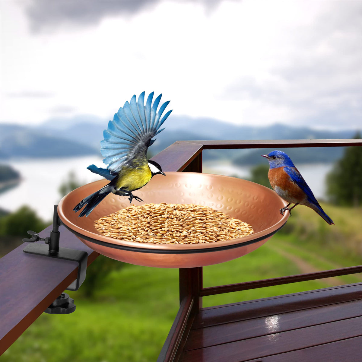 Deck-mounted bird bath in garden showcasing elegant copper and iron design