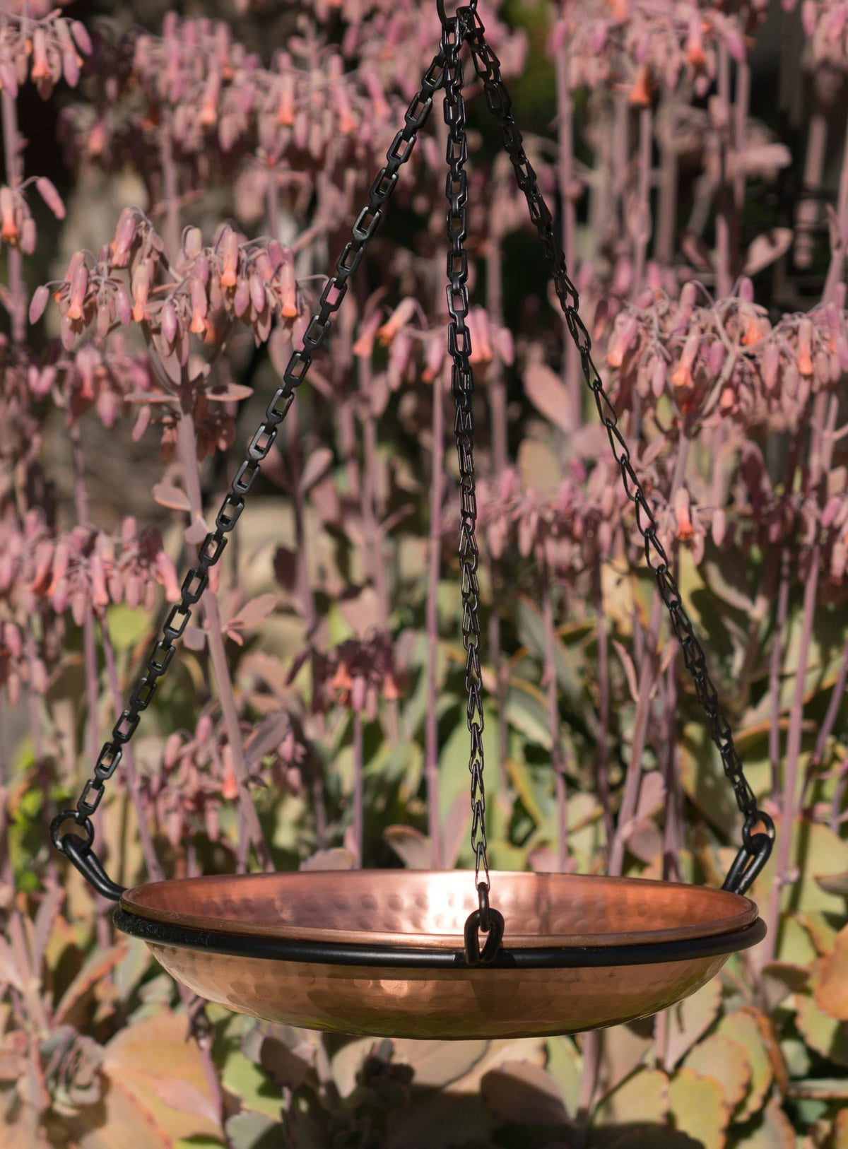 Monarch Abode garden decor accent adds style while inviting wildlife visits.