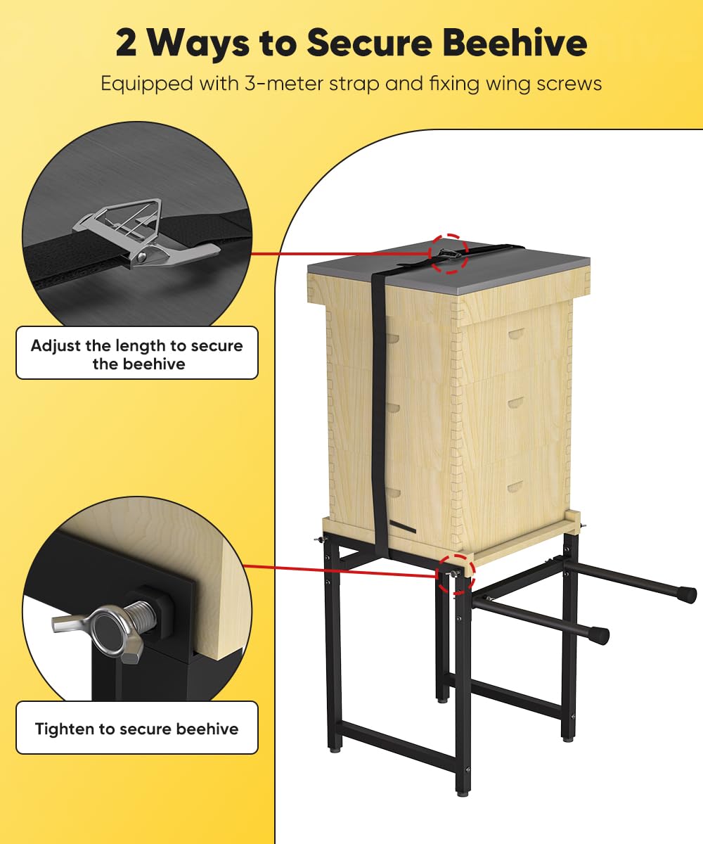 Mondazie elevated hive setup improves ventilation and drainage during inspections.