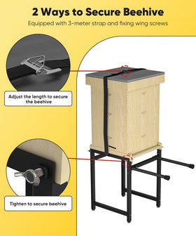 Mondazie elevated hive setup improves ventilation and drainage during inspections.
