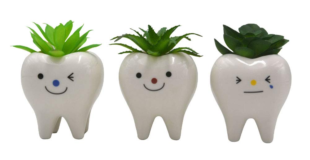 MONMOB mini tooth planters perfect for desks, shelves, and windowsills