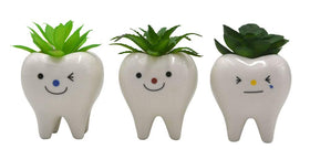 MONMOB mini tooth planters perfect for desks, shelves, and windowsills