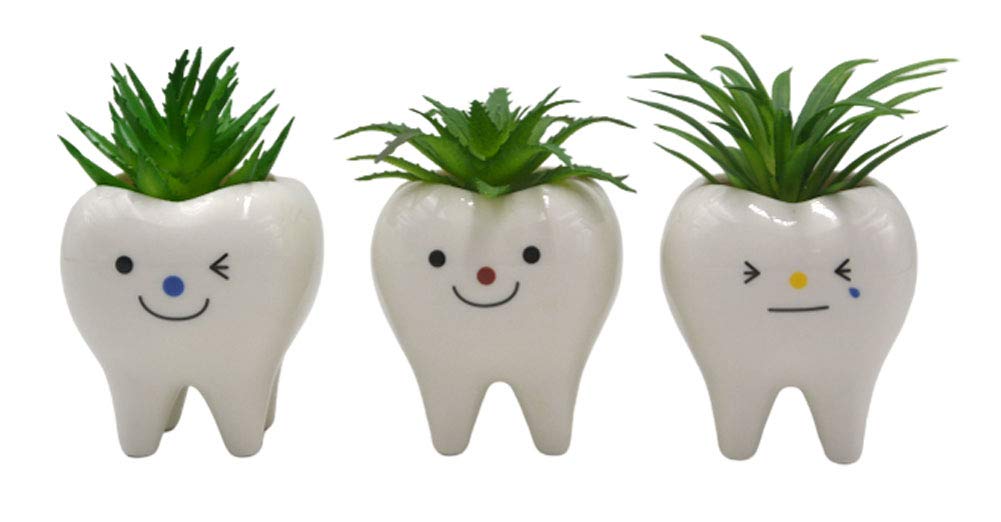 MONMOB multicolor tooth planters add greenery and color to any room