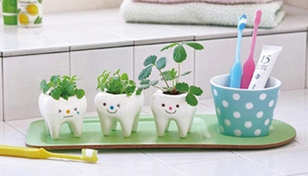 MONMOB three-pack ceramic planters ideal for indoor planting and thoughtful gifts