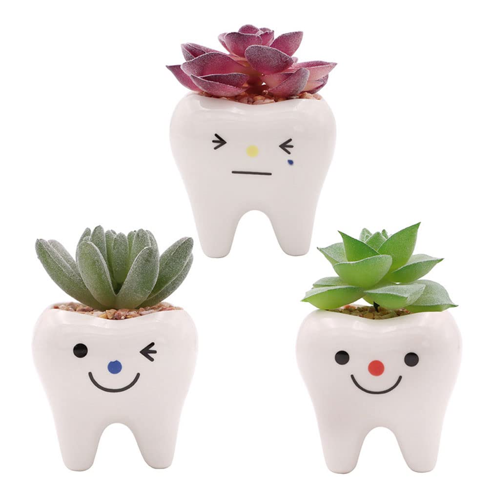 MONMOB tooth planters offer playful desk gifts for garden lovers and kids