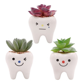 MONMOB tooth planters offer playful desk gifts for garden lovers and kids