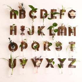 Monsefi compact wall garden display enhances desks with greenery.