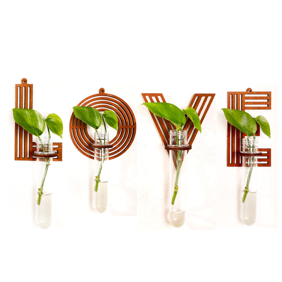Monsefi Love wooden letter wall propagation station for small cuttings, decorative wall display.