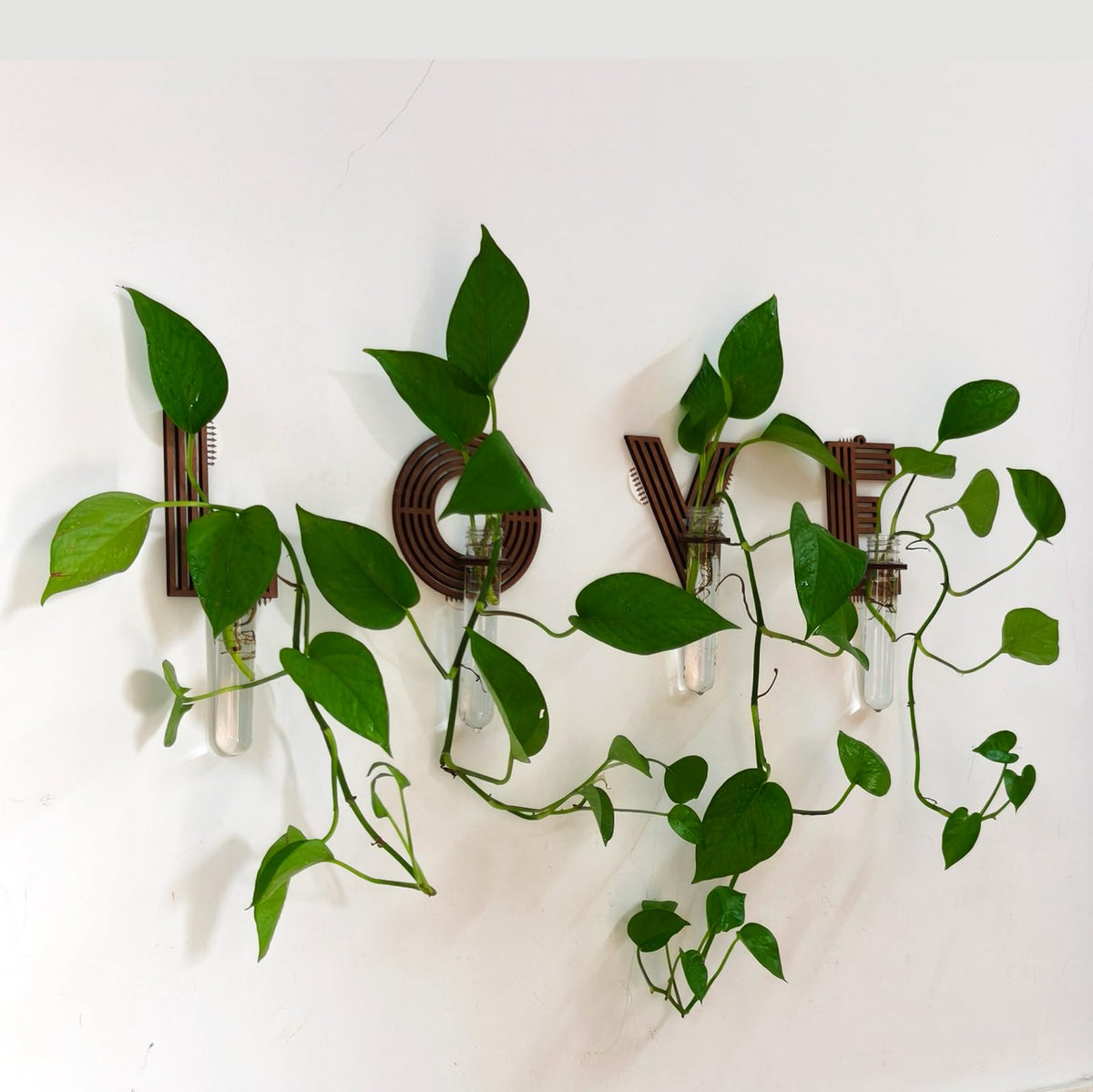 Monsefi convenient remove-and-rearrange setup suits rental homes and dorms.