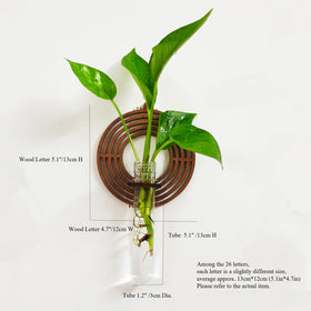 Monsefi wall display shows removable adhesive strips for easy, residue-free hanging.