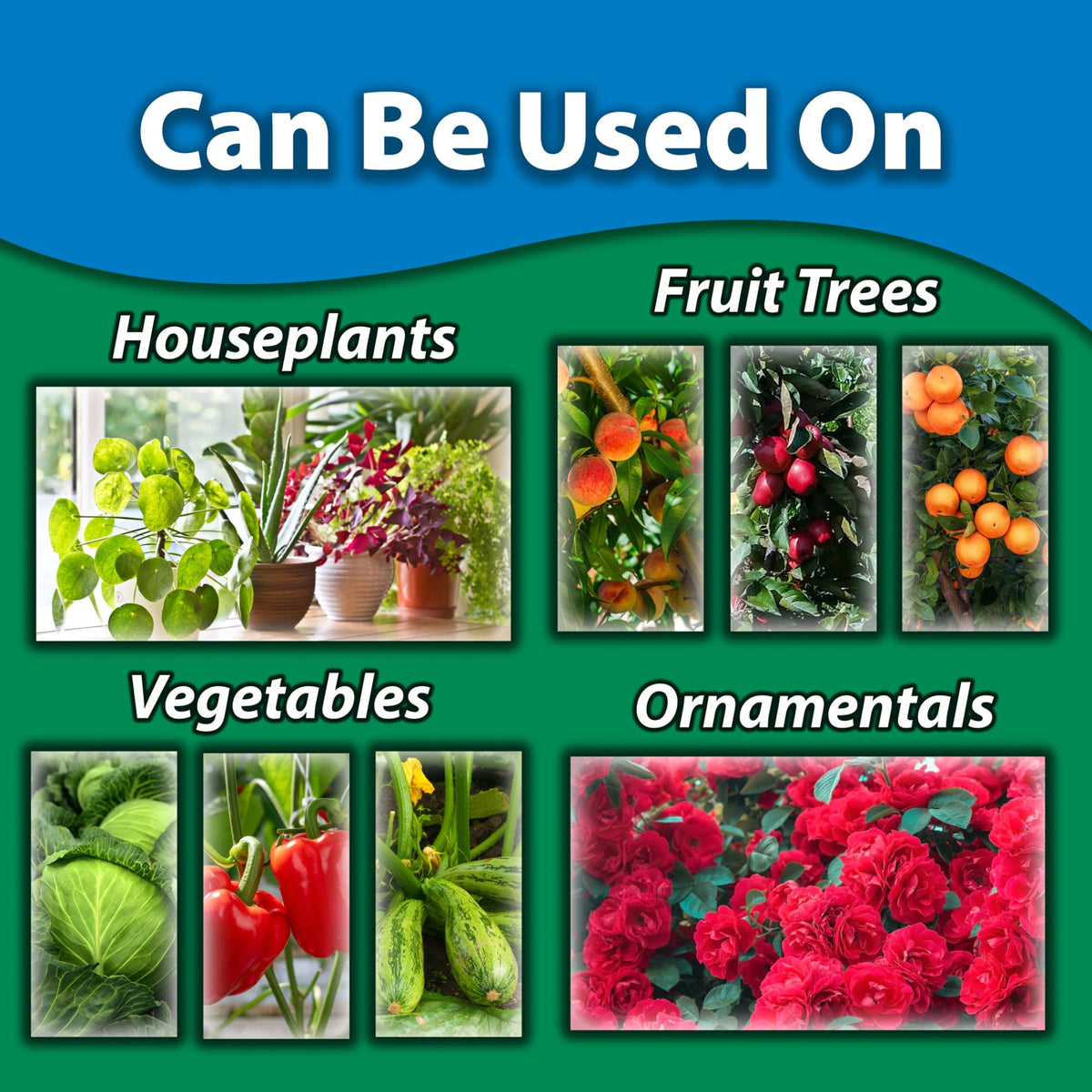 Monterey Complete Disease Control coverage on leaves highlights thorough coverage and disease prevention opportunities.