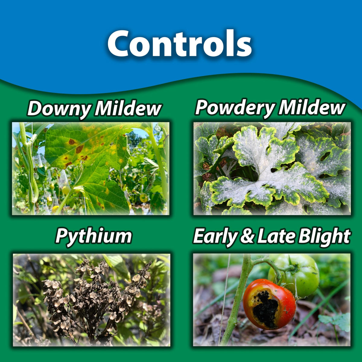 Monterey Complete Disease Control nozzle-angle setup for precise application and full plant coverage.