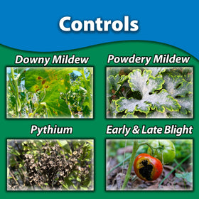Monterey Complete Disease Control nozzle-angle setup for precise application and full plant coverage.