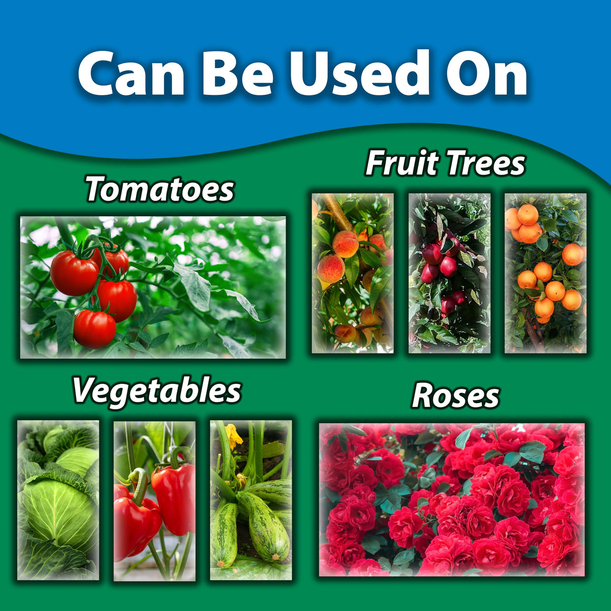 Measuring spoon included with Monterey Horticultural Oil for precise mixing.