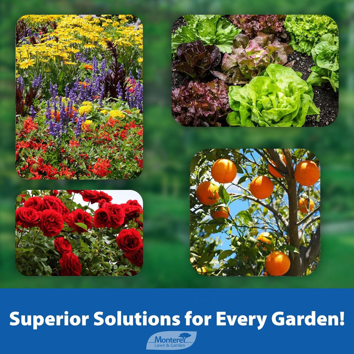 Packaging highlights OMRI-listed status for organic gardening compliance.