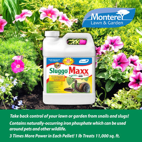 Monterey Sluggo Maxx OMRI-listed label indicates organic gardening compatibility.