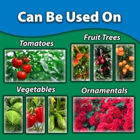 Monterey Spinosad insecticide for citrus trees safeguards fruit with fast action.
