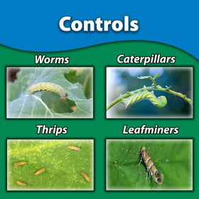 Monterey Spinosad insecticide for outdoor vegetables helps protect crops.