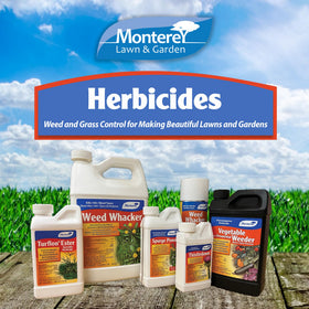 Monterey Turflon Ester targets broadleaf weeds in cool season turf.