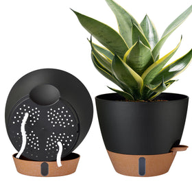 Montresor 2-pack 10-inch self-watering pots with a clear water level window.