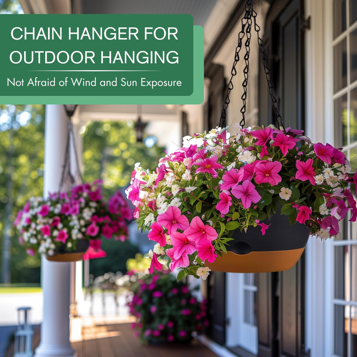 Montresor hanging pot with removable saucer simplifies watering and relocation.