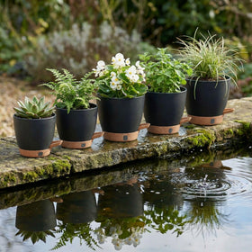 Montresor matte black planter set displayed in a modern indoor setting.