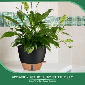 Montresor minimalist planter suits indoor and outdoor spaces.
