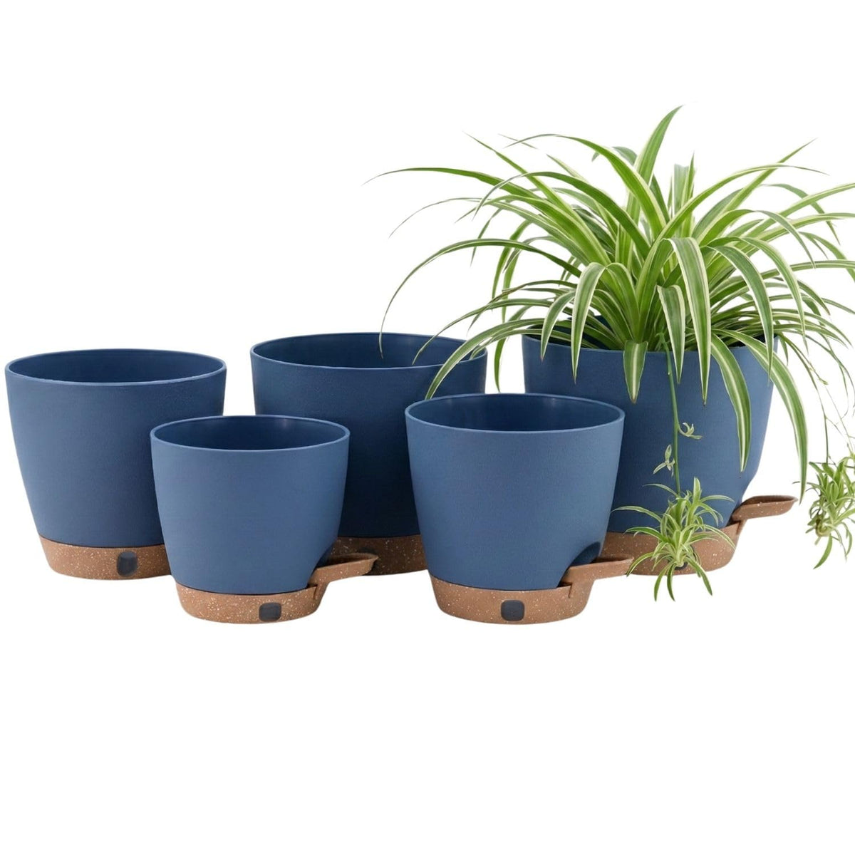 Montresor ocean blue 5inch pot with wick maintains even moisture for houseplants.