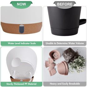 Montresor drainage holes support airflow and root health