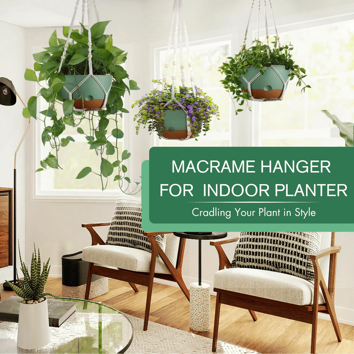Montresor self-watering hanging planter removable saucer for easy water management.