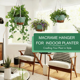 Montresor self-watering hanging planter removable saucer for easy water management.