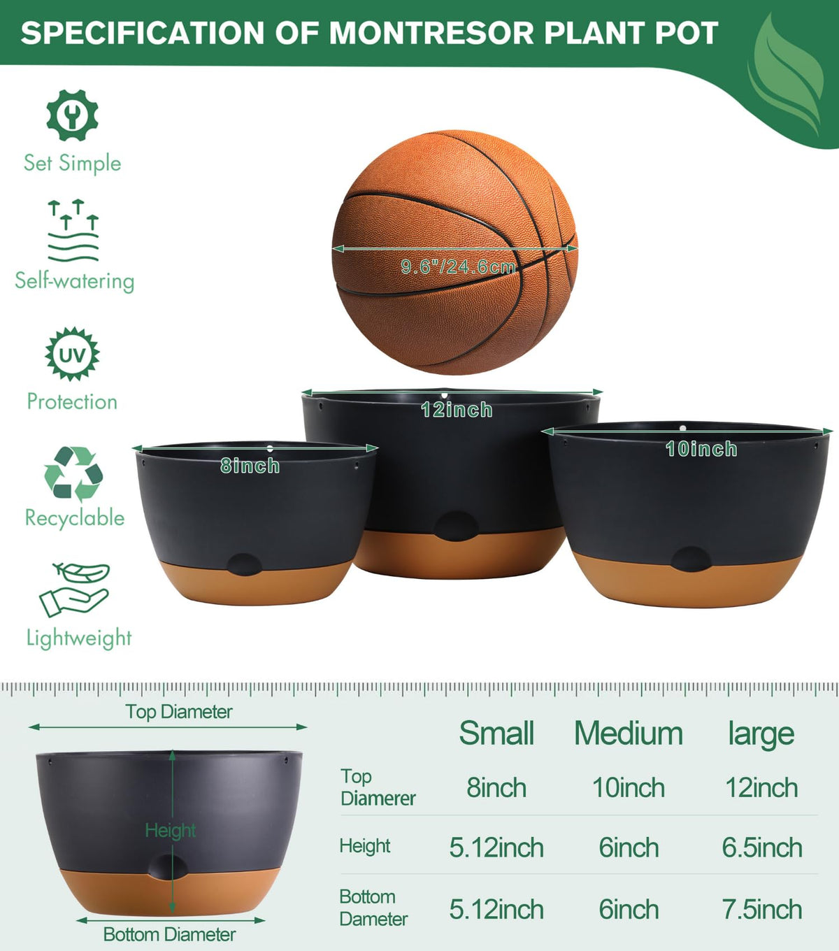 Montresor 12-inch self-watering hanging pot for vibrant indoor displays.
