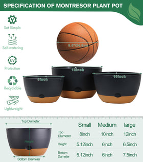 Montresor 12-inch self-watering hanging pot for vibrant indoor displays.