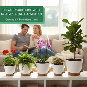 Montresor self-watering planter 5.5-inch compact design ideal for small herbs